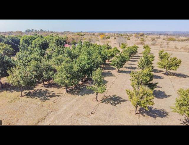 FARM FOR SALE IN BULTFONTEIN A H